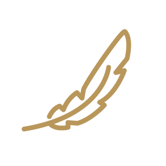 Feather icon