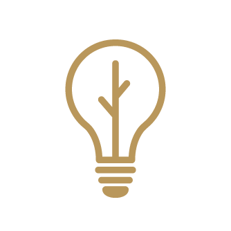 Lightbulb icon