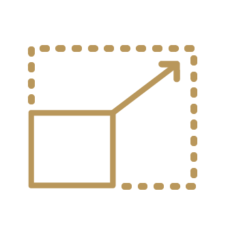 Icon of a rectangle within a gotted rectangle depicting size maximizing